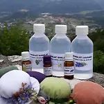 Kuca Za Odmor Finderli * Buzet