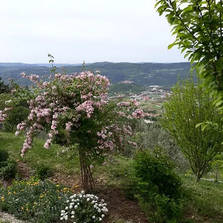 Kuca Za Odmor Finderli *