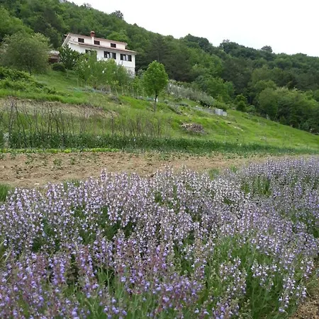 Feriehus Finderli Buzet
