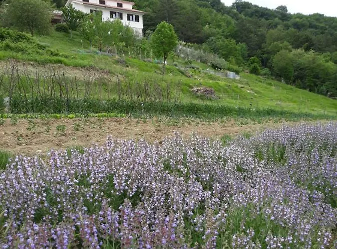 Casa vacanze Finderli Buzet